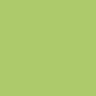Northeast Utilities